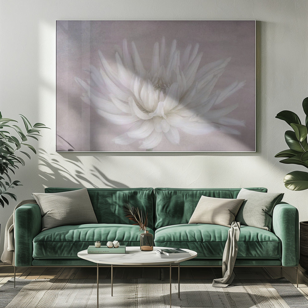 Wit | Canvas