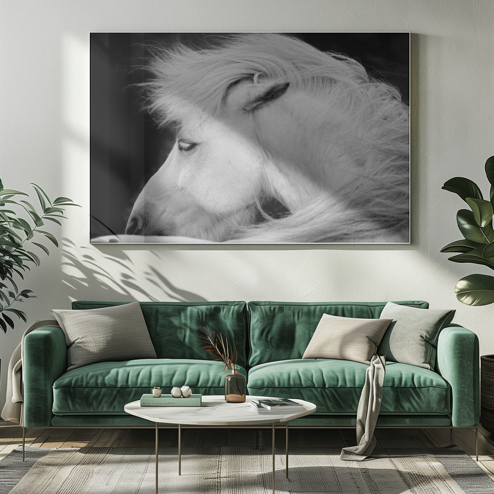 Luister naar de wind | Canvas