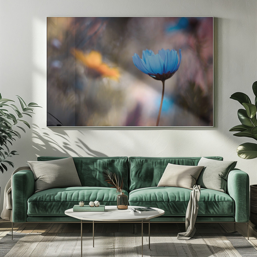 Wil je met mij dansen | Canvas