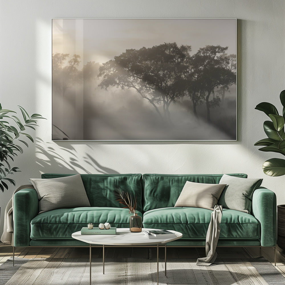SAVANA ZONSOPGANG | Canvas