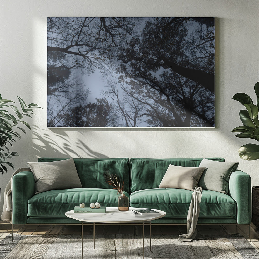 Omhoog kijken 1 | Canvas