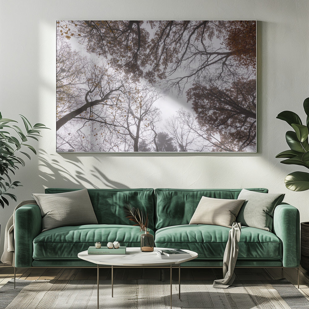 Omhoog kijken 2 | Canvas