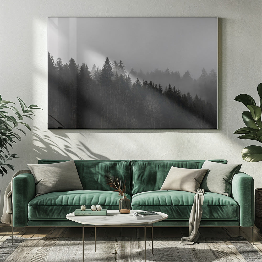 Mistige bossen 7 | Canvas