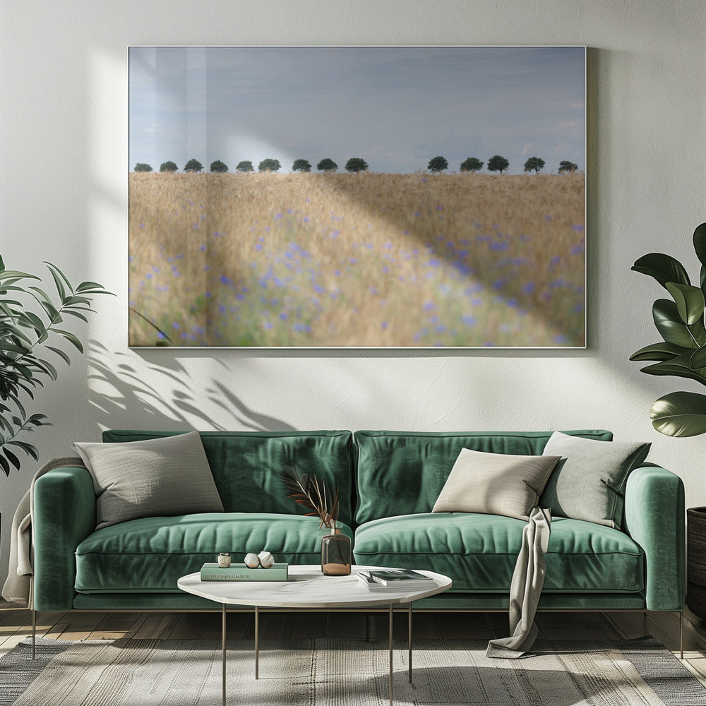 Nordic Moments 4 | Canvas