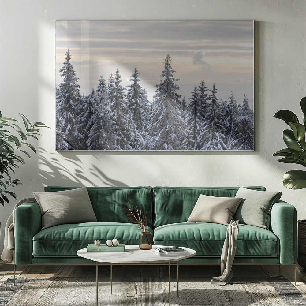 Besneeuwde bomen 8 | Canvas