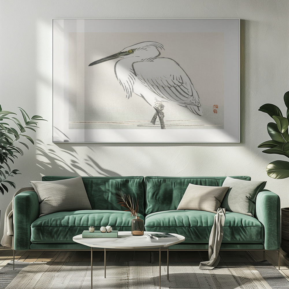 Sneeuwreiger | Canvas