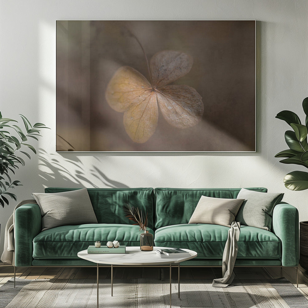 restanten van de dag | Canvas