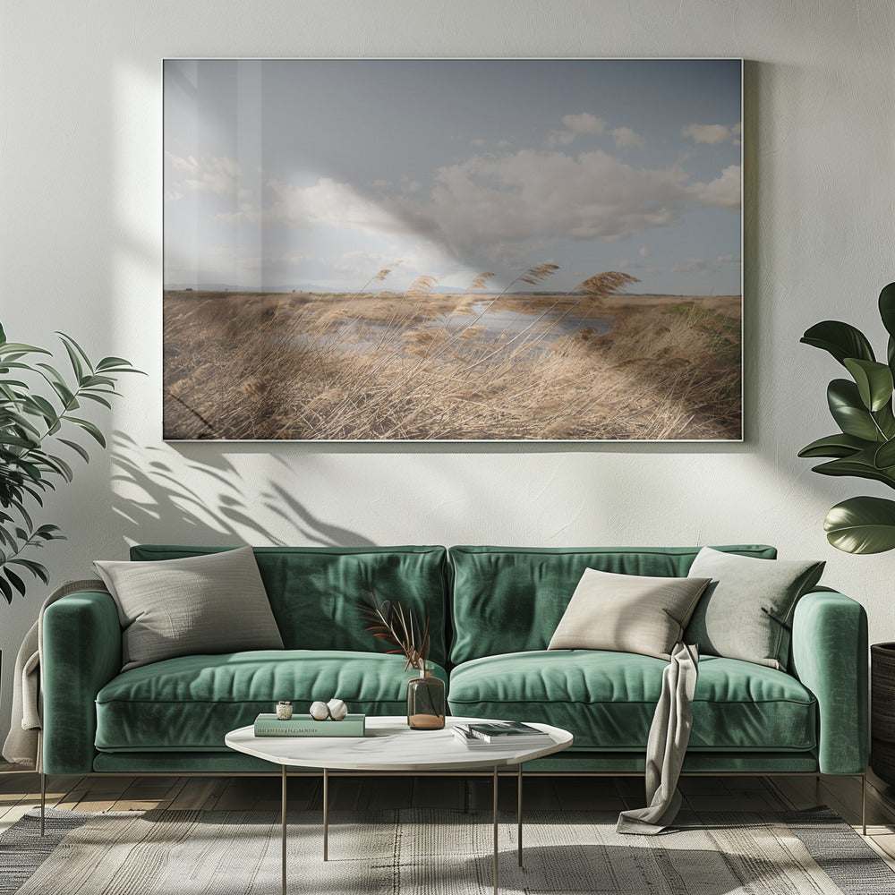 Moerasland nr. 6 | Canvas