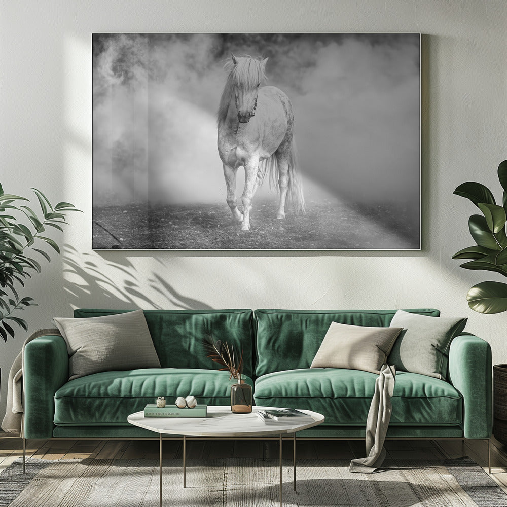 En er kwam een wit paard | Canvas