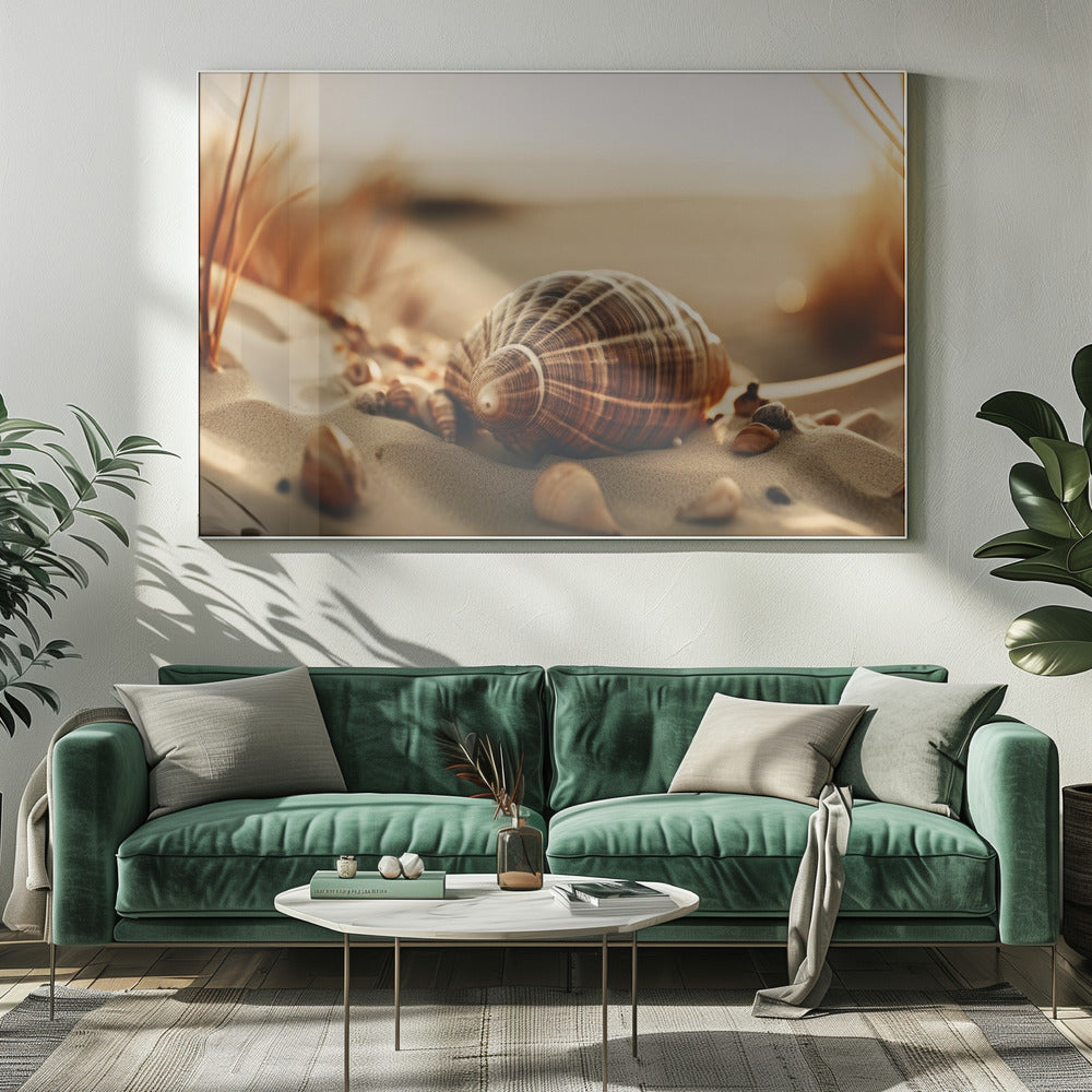 De stille schelpen van duinen | Canvas