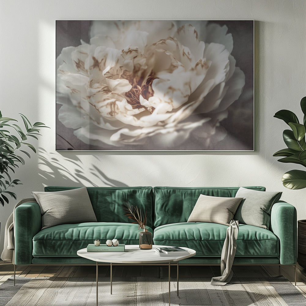 Bloemblaadjes van Sereniteit | Canvas