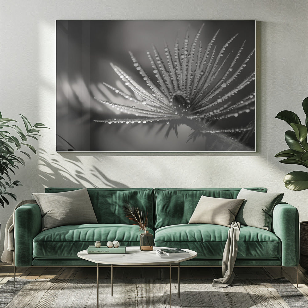 Dauwige elegantie | Canvas