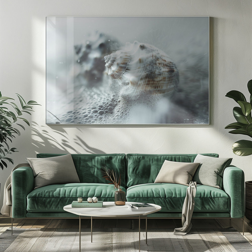 Schelpen in de mist van de oceaan | Canvas