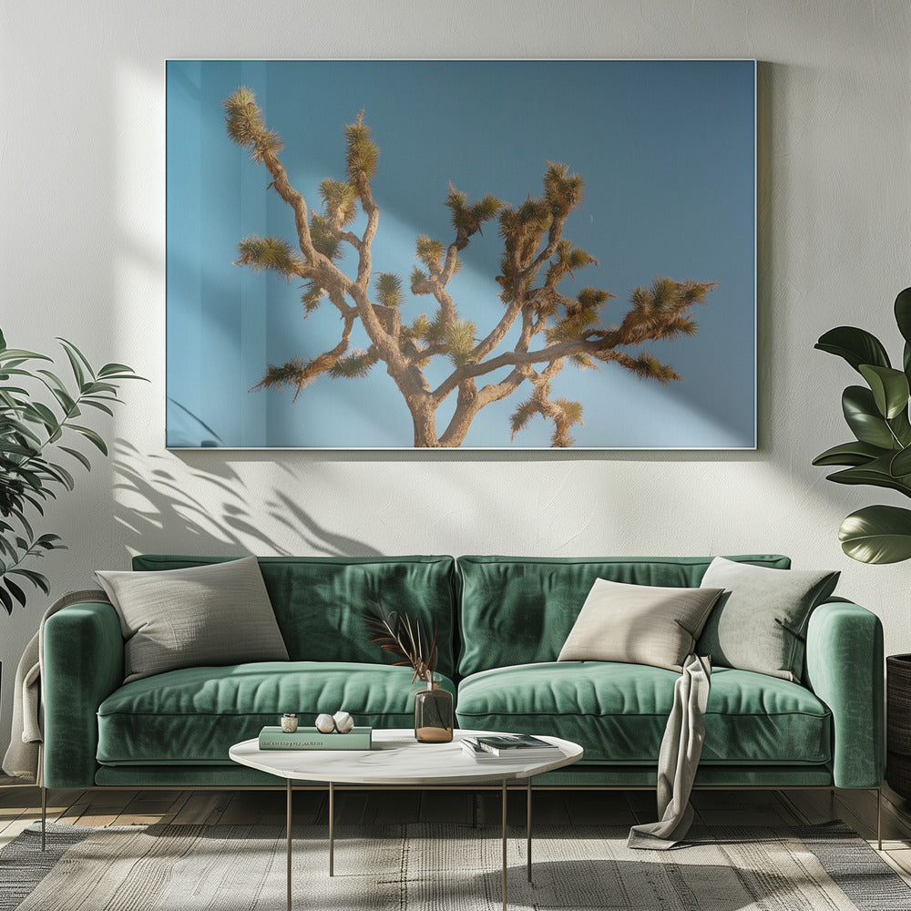 Joshua Tree Moon III | Canvas