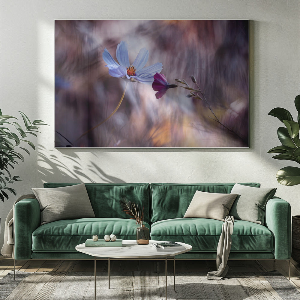 De ontmoeting | Canvas