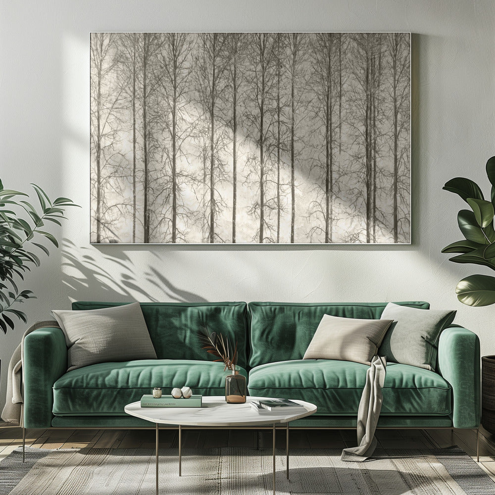 Espen | Canvas