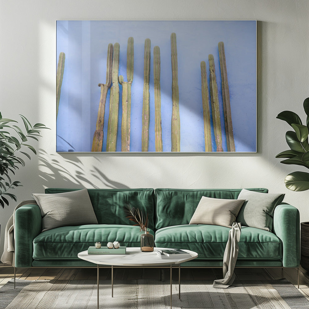 Hoge cactussen op blauw | Reizen in Oaxaca, Mexico | Canvas