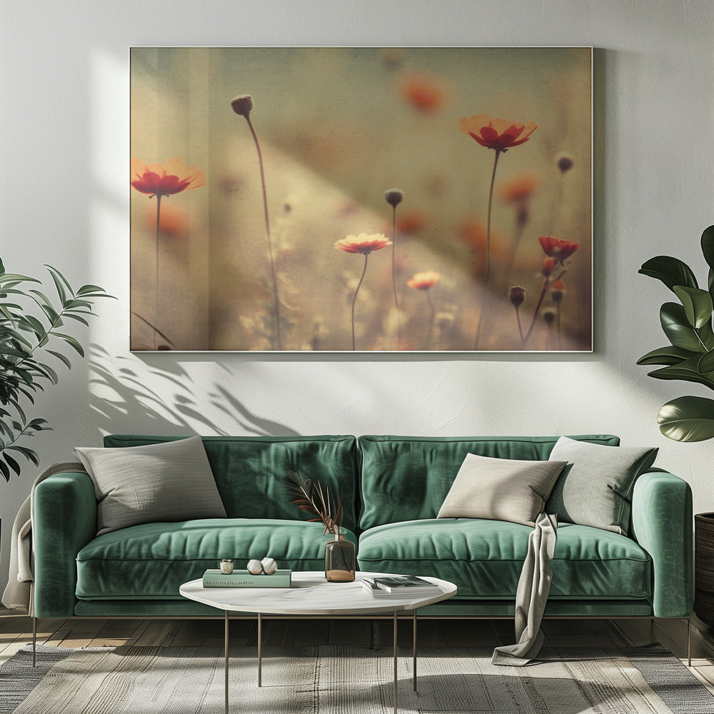 Fluisterende klaprozen | Canvas