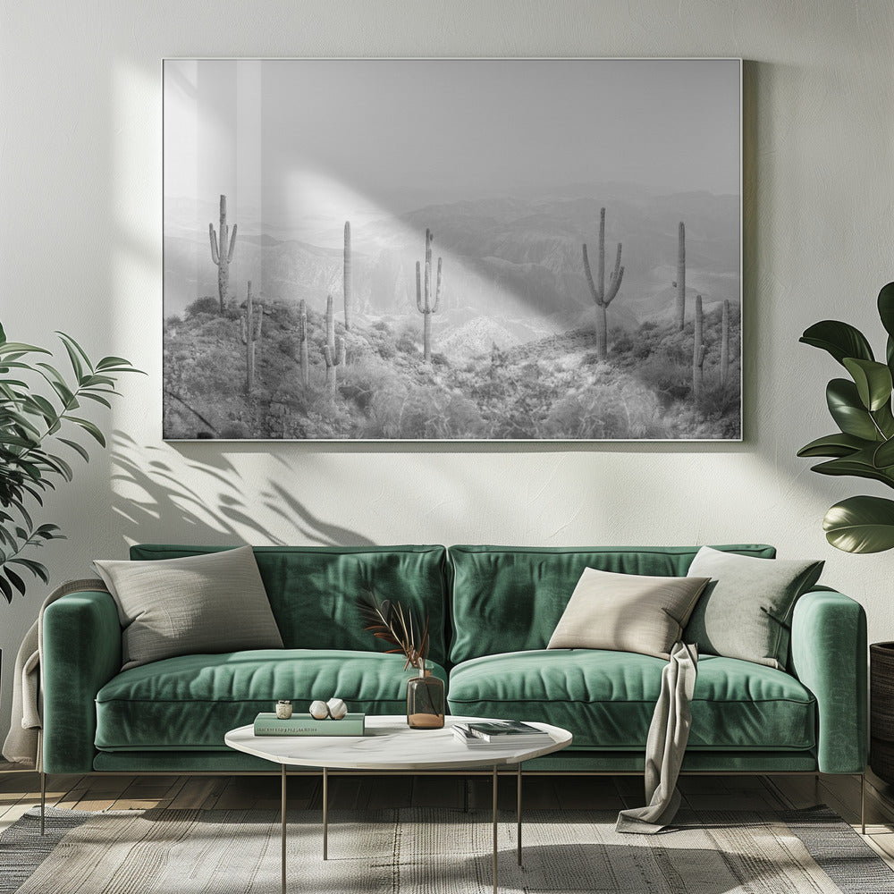 Westerse Cactus | Canvas