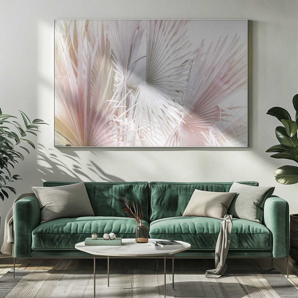 Palma | Canvas