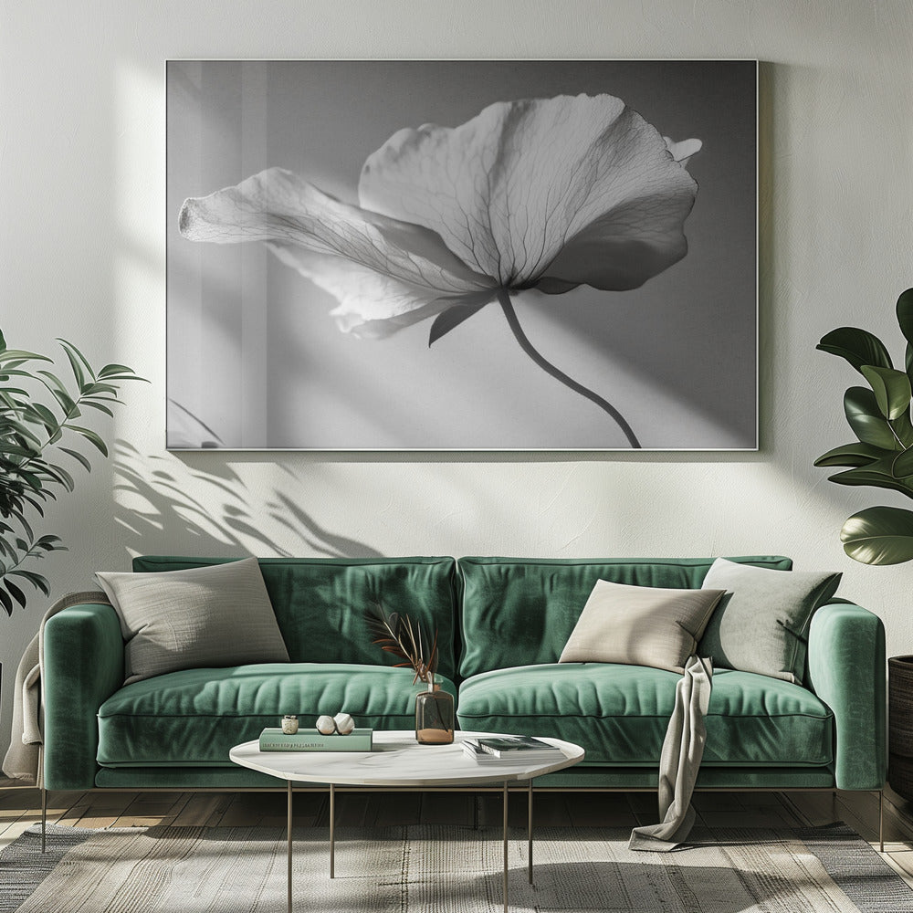 Delicate Bloemblaadjesdans | Canvas