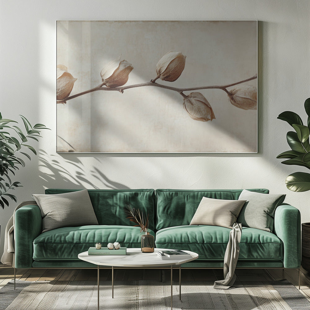 Vervaagde elegantie | Canvas