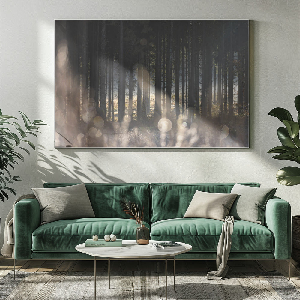 Bosgloed 1 | Canvas