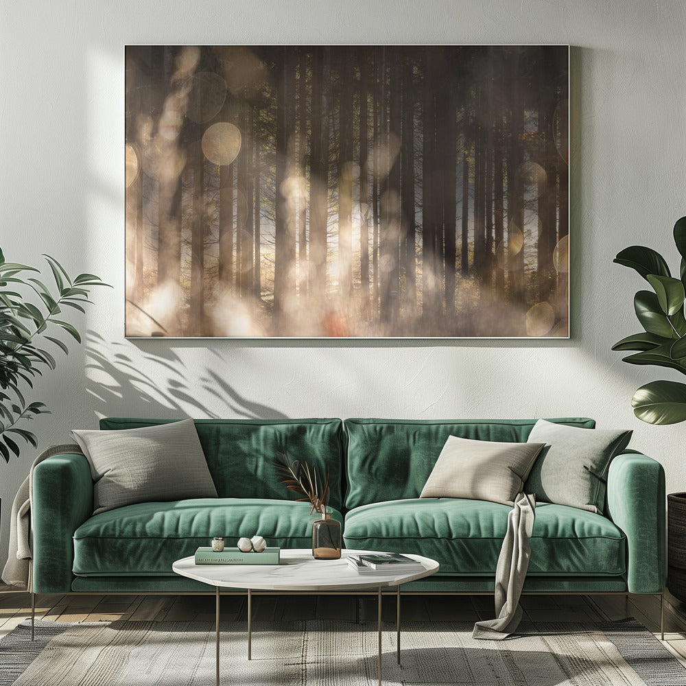 Bosgloed 2 | Canvas