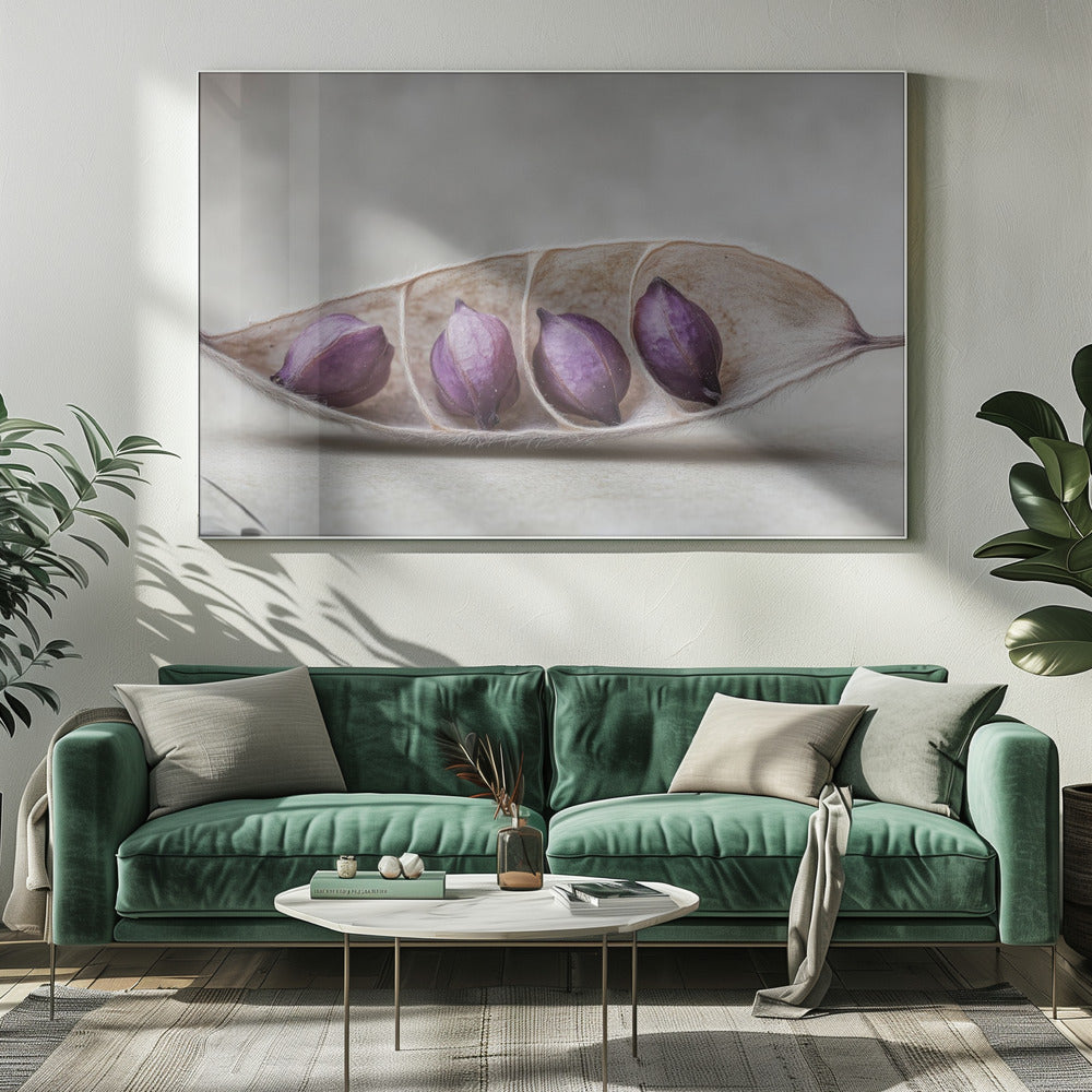 Paarse Pod Harmony | Canvas