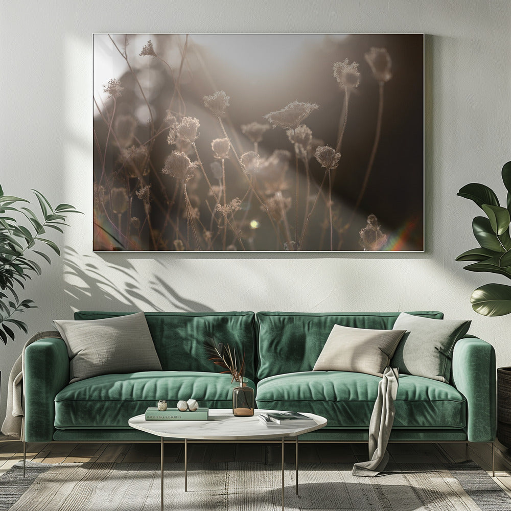 Warm Winterlicht 3 | Canvas