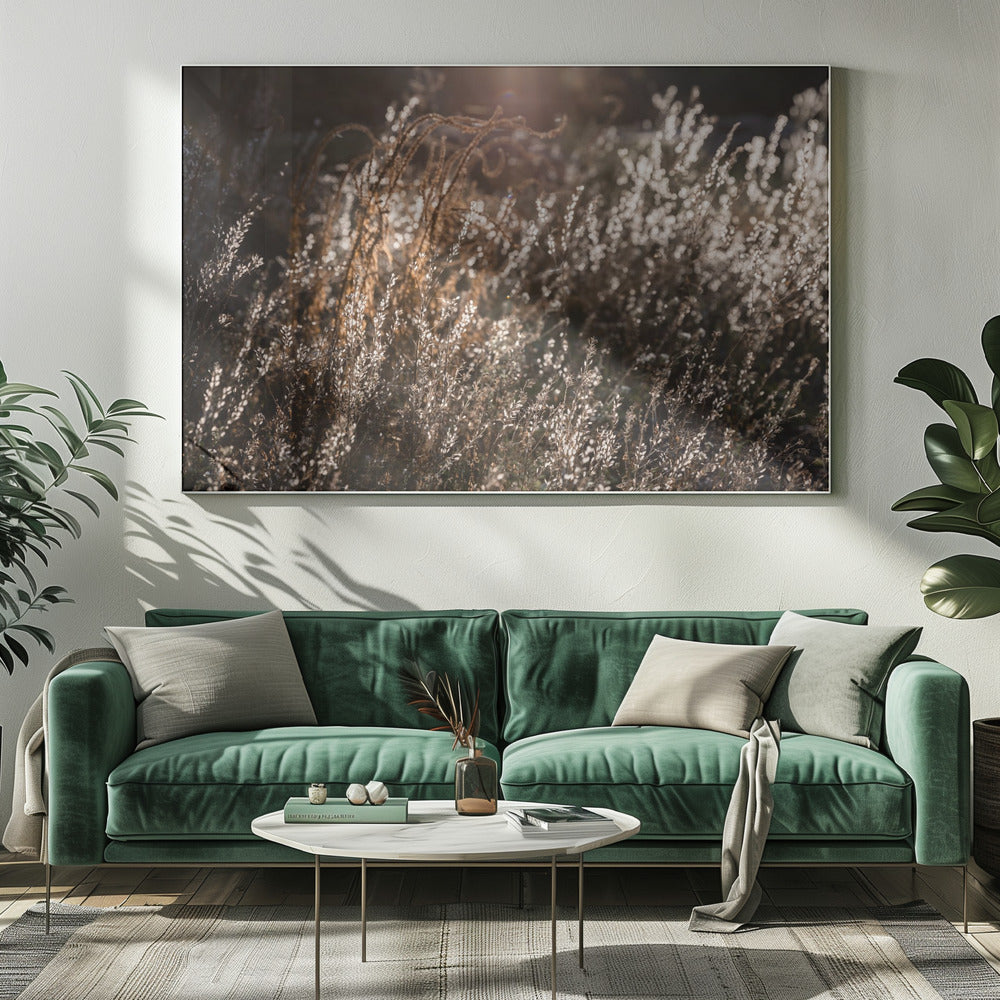 Warm Winterlicht 4 | Canvas