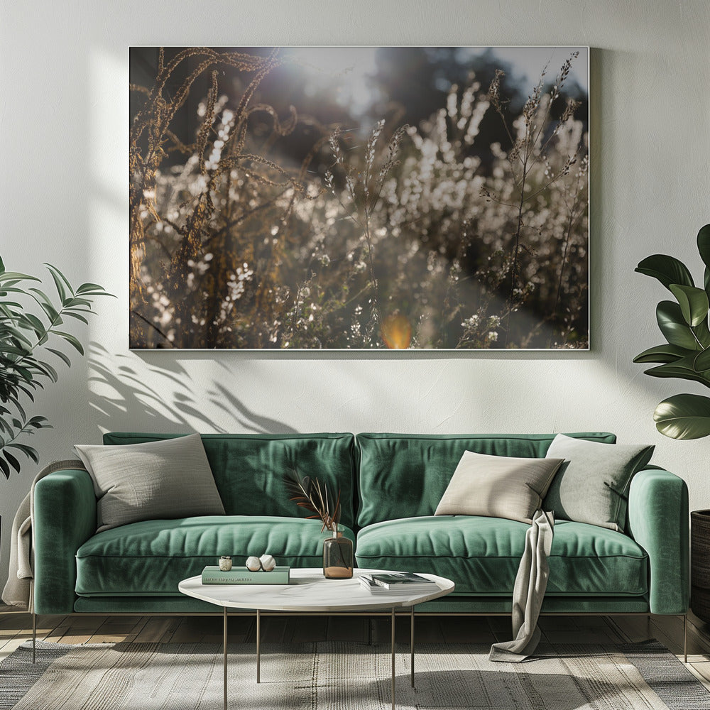 Warm Winterlicht 7 | Canvas