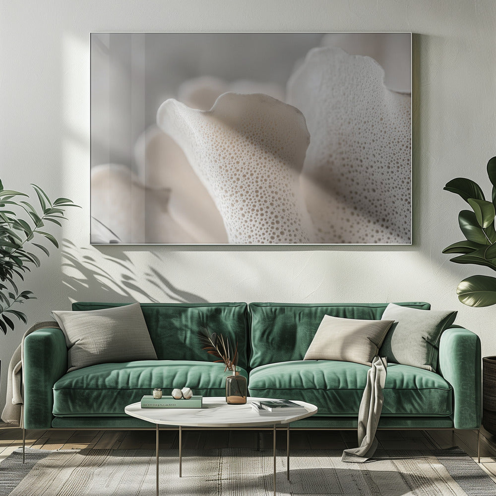 Porseleinen bloemblaadjes | Canvas