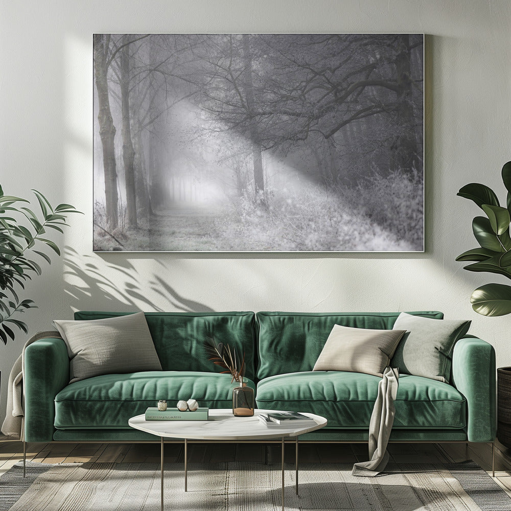 Mistige winterochtend 1 | Canvas