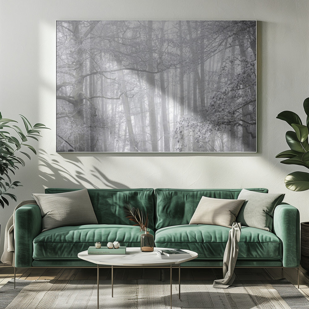 Mistige winterochtend 2 | Canvas