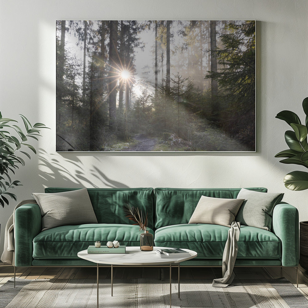 Hopeful Moments 2 | Canvas