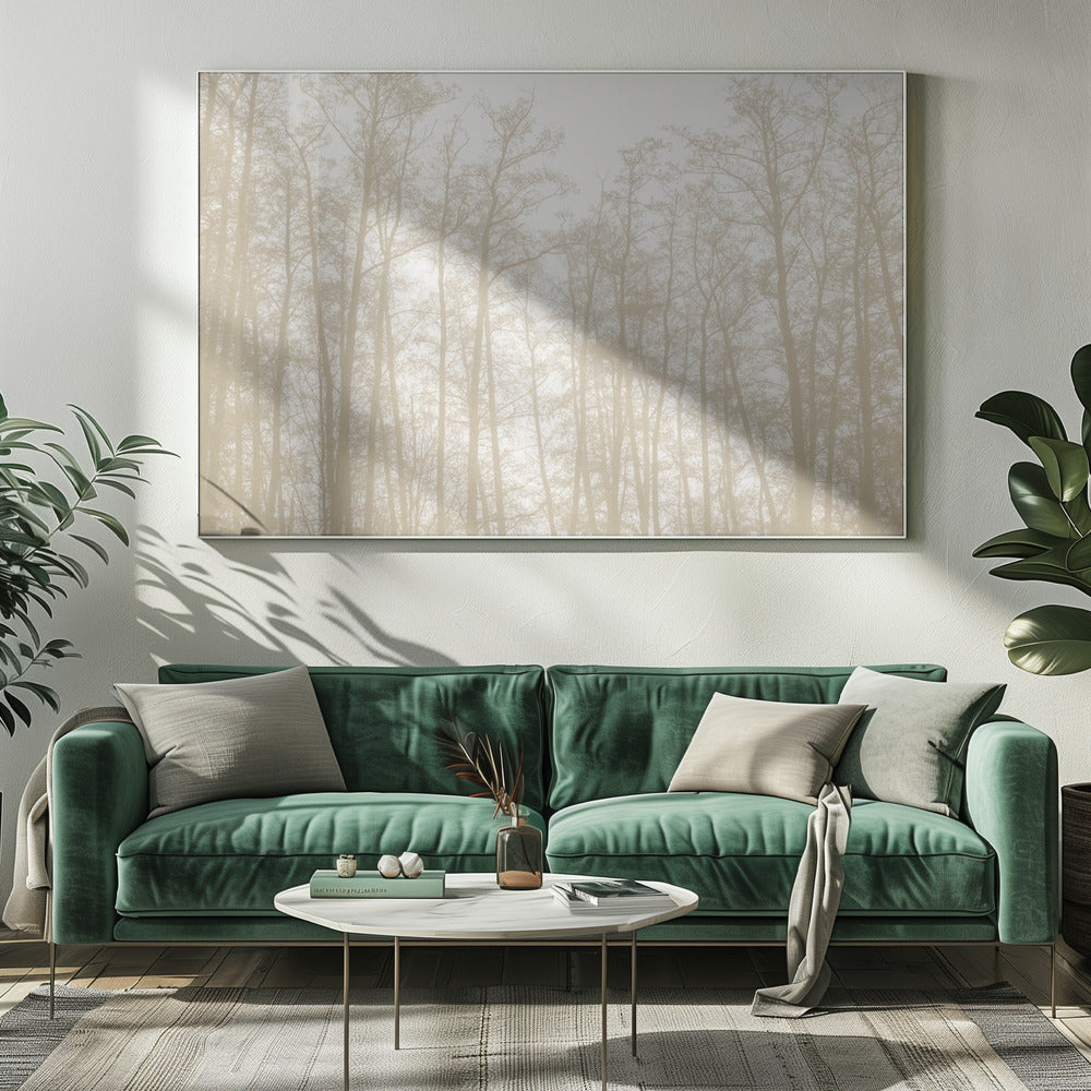 Tree Silhouettes 1 | Canvas