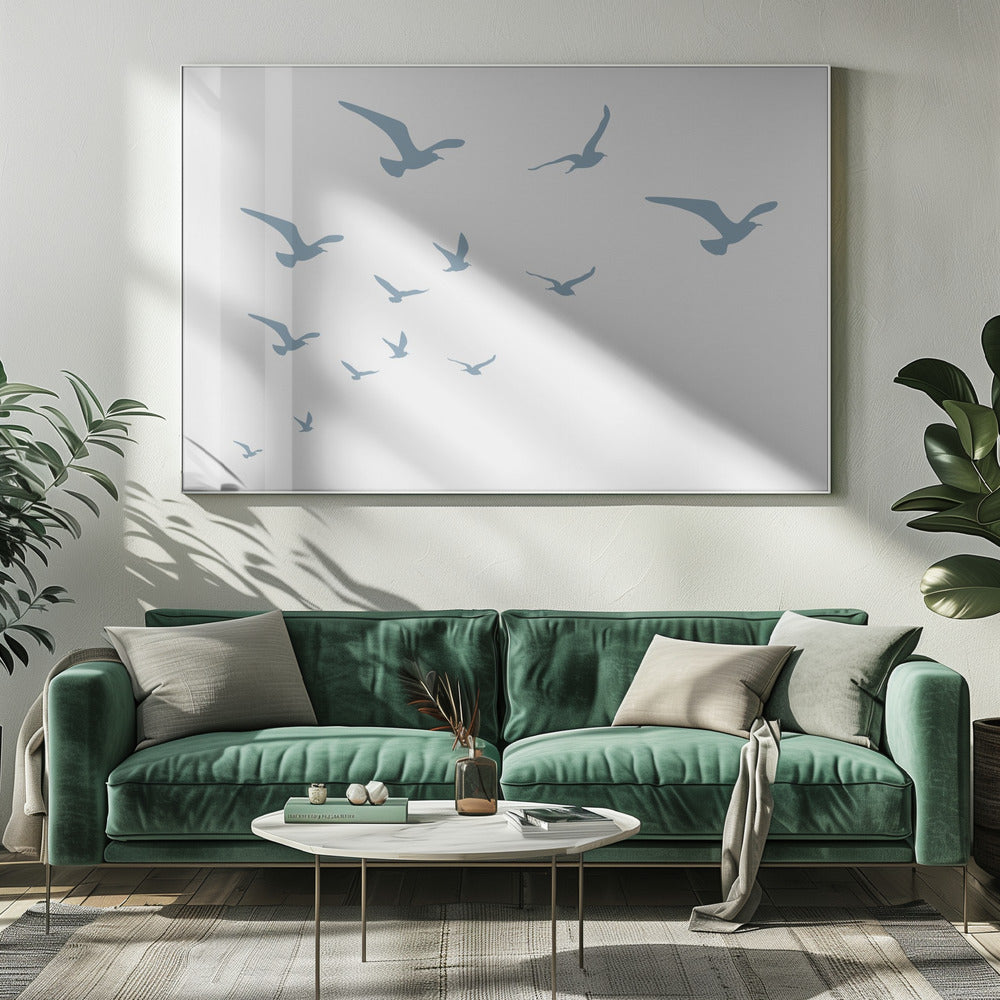 Meeuwen Witte Achtergrond | Canvas