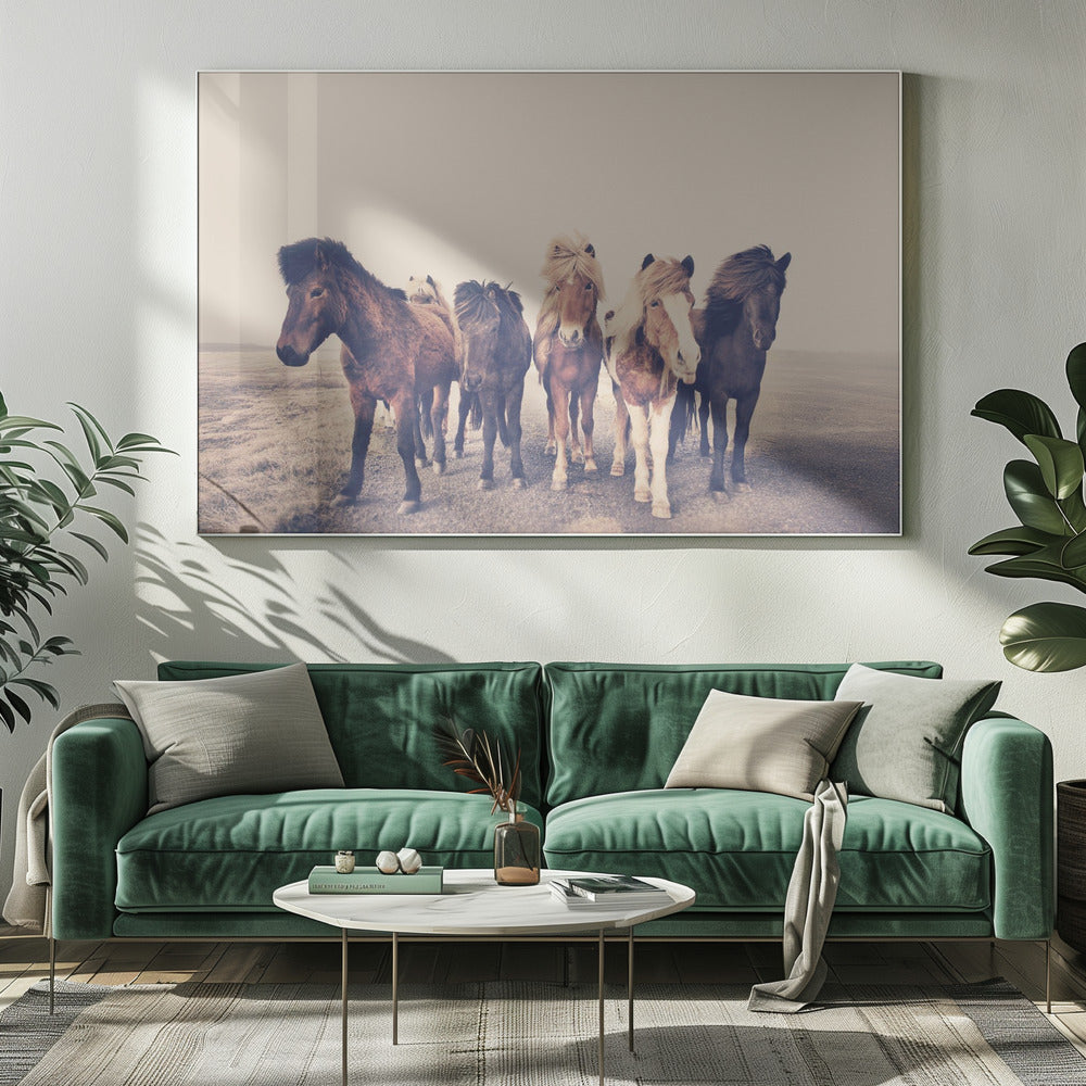 Paarden | Canvas