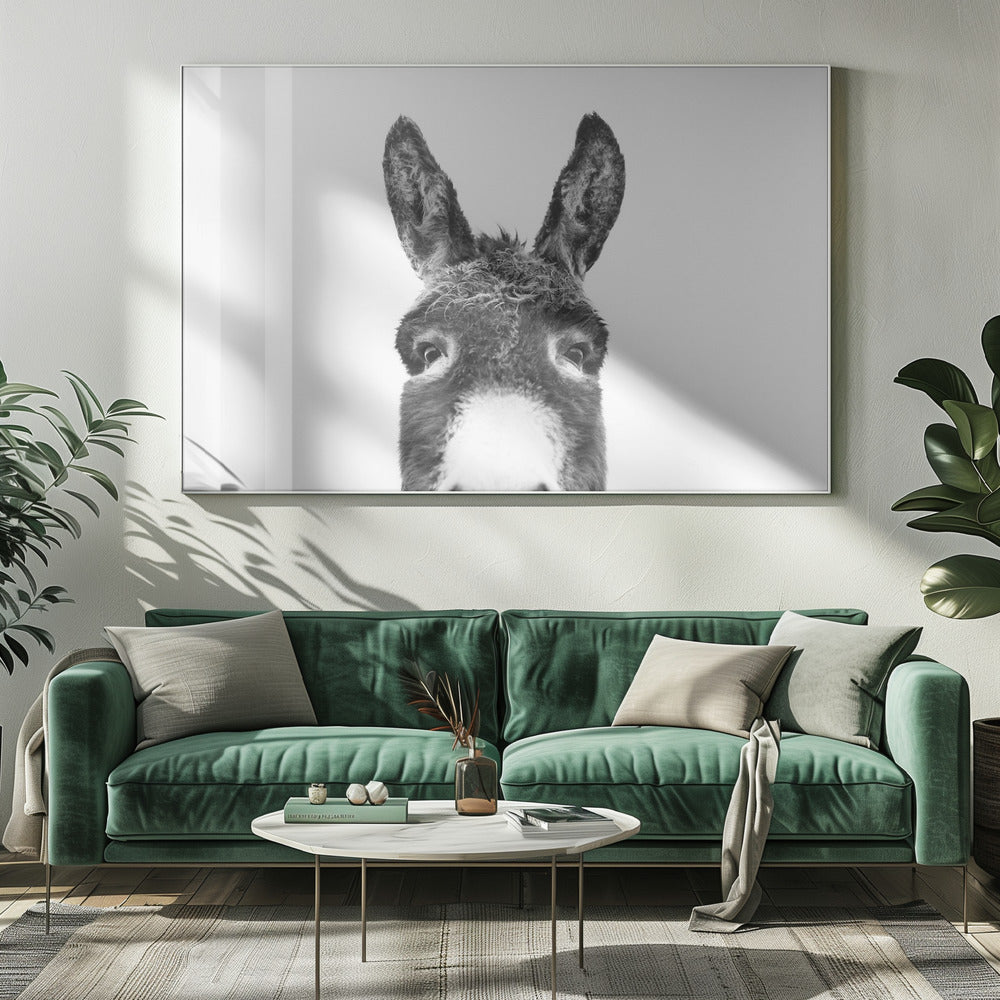Glurende Ezel Zwart-wit | Canvas