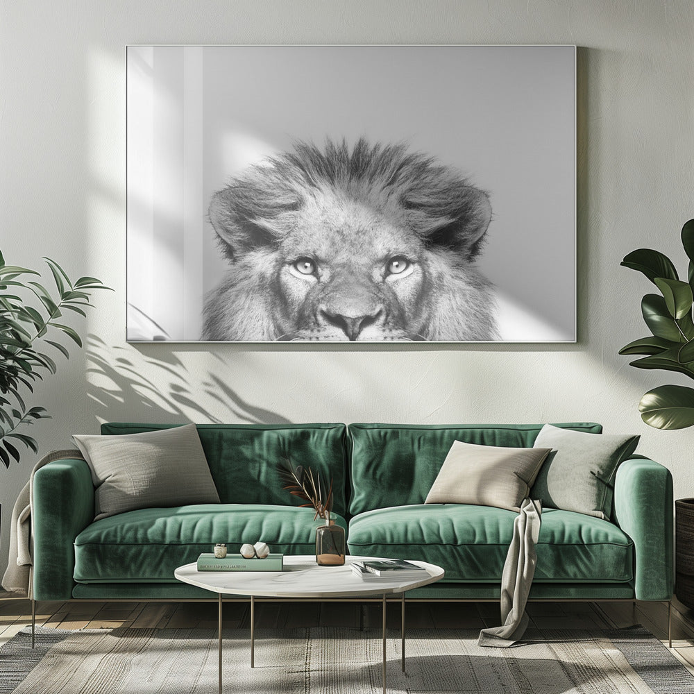 Glurende Leeuw | Canvas