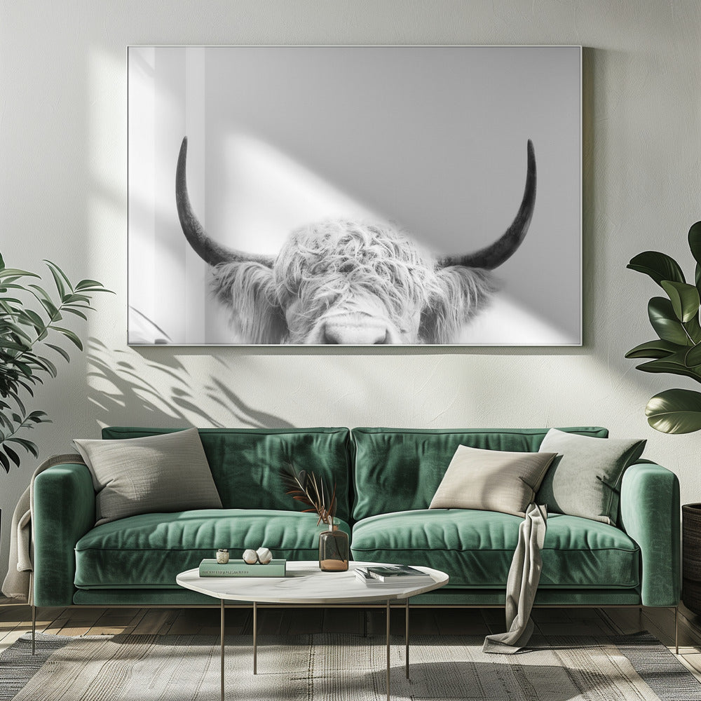 Glurende koe zwart-wit | Canvas