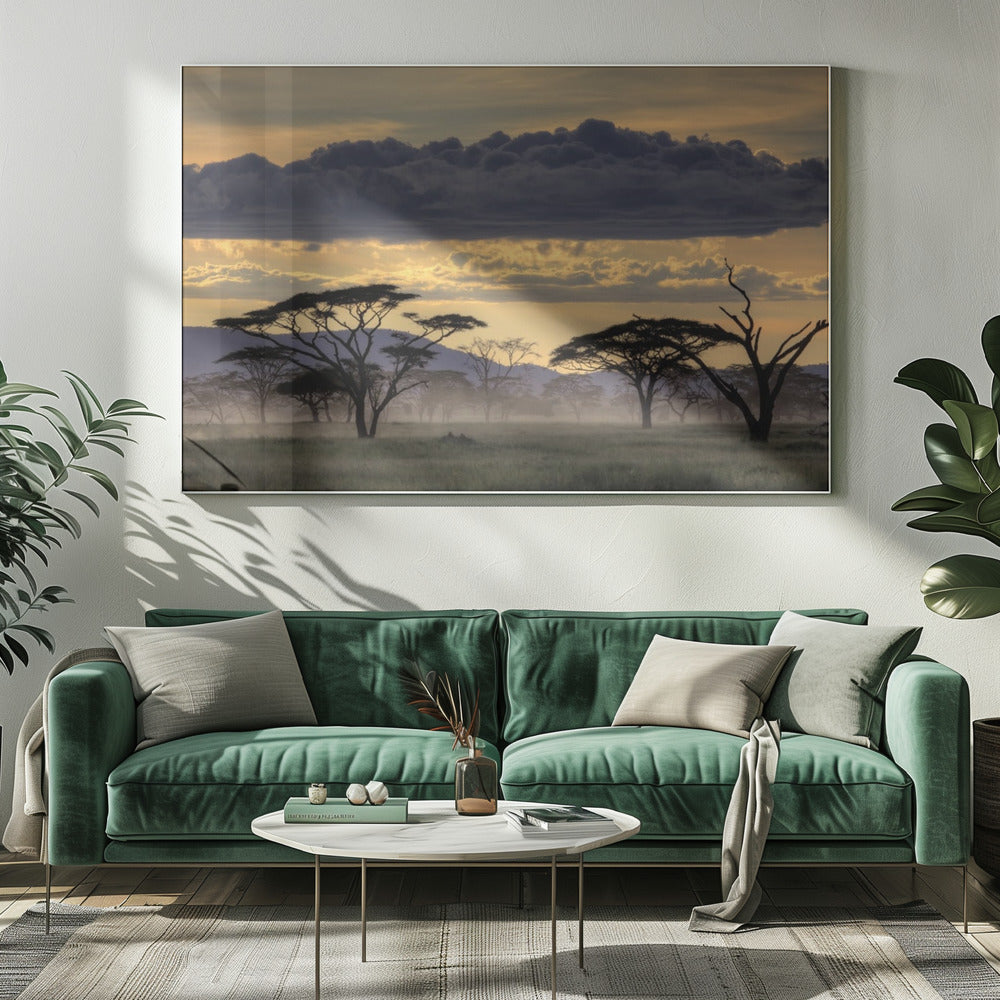 Goedenavond Tanzania | Canvas