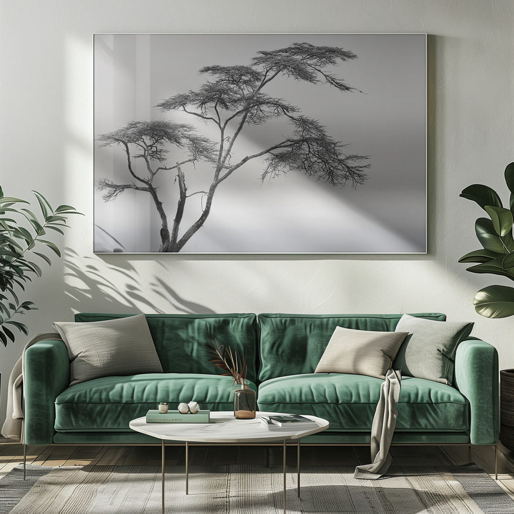 een heel lang verhaal | Canvas