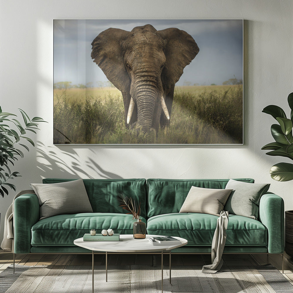 Ontmoetingen in Serengeti | Canvas