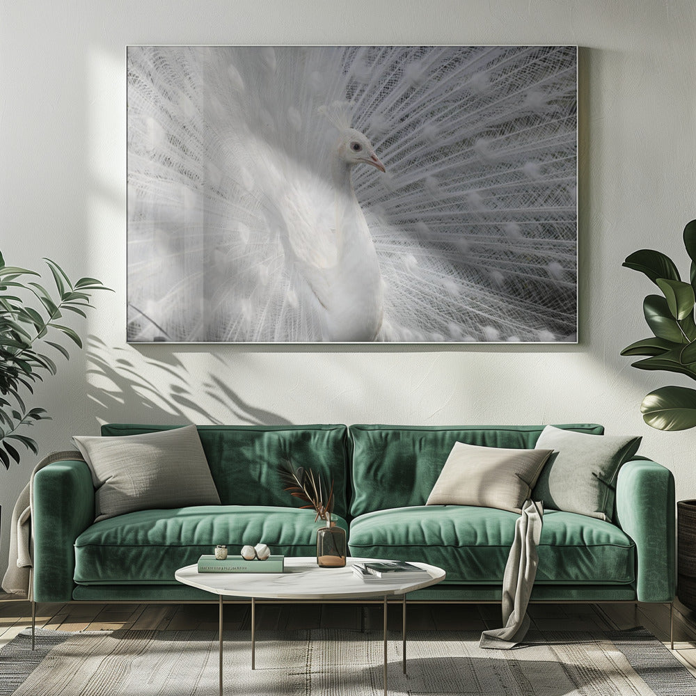 Zo wit als sneeuw | Canvas