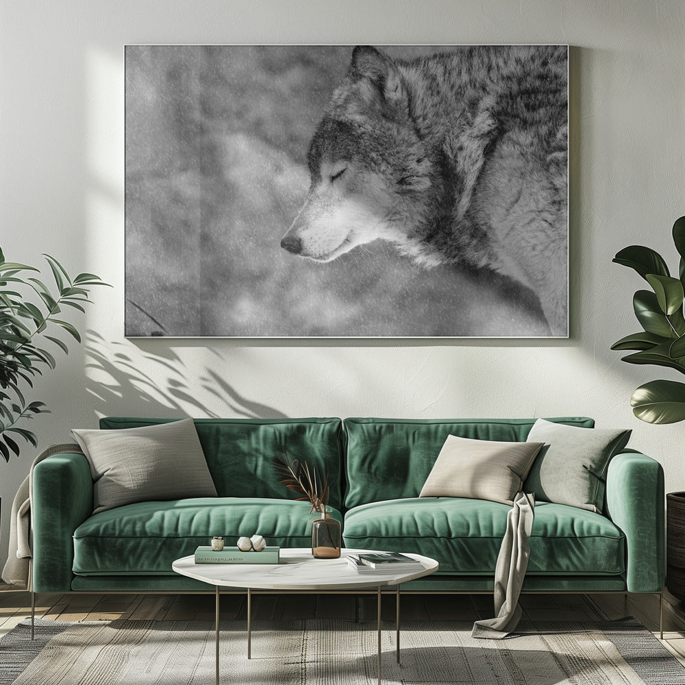 Laat het sneeuwen | Canvas