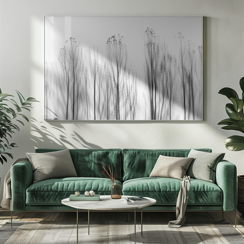 No Grounds | Canvas