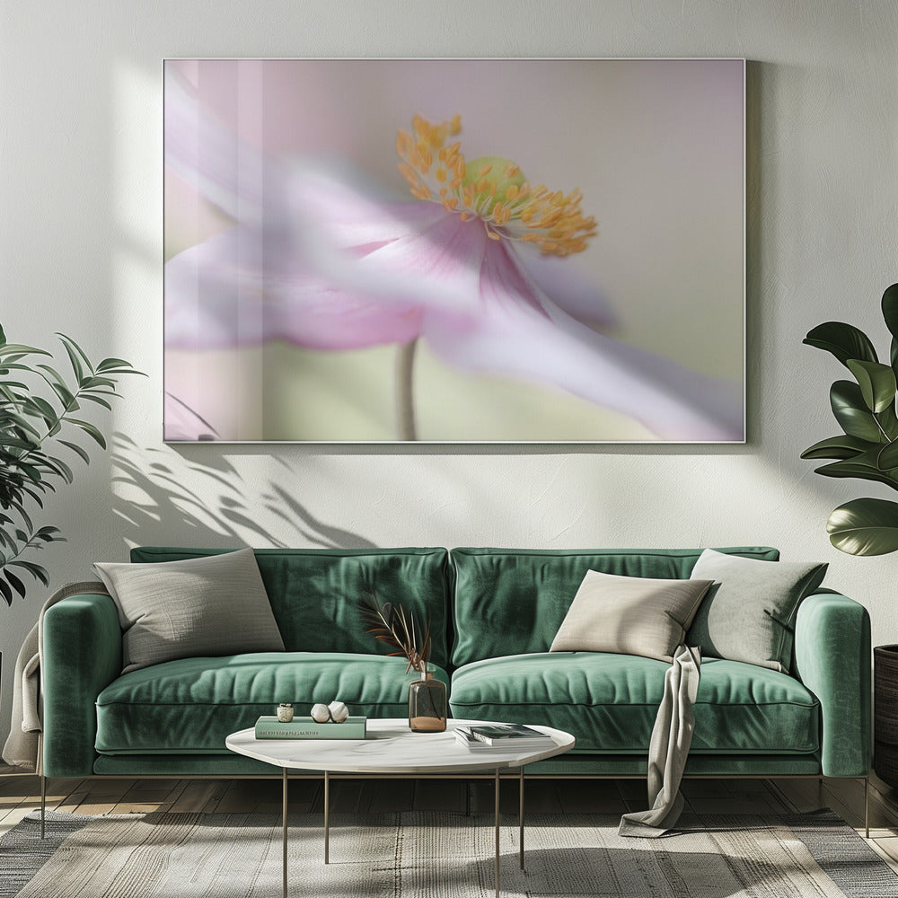 Japanse anemoon | Canvas