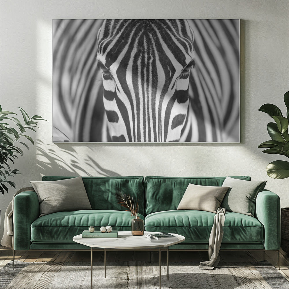 Zepra | Canvas
